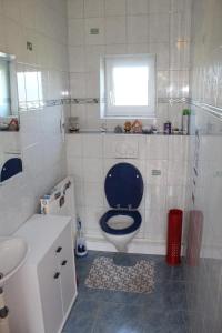 a bathroom with a toilet and a sink and a window at Apartment Rappitsch in Sankt Marein bei Knittelfeld