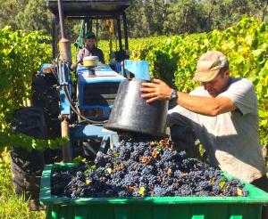 入住Valley Farm Vineyard Villas的客人