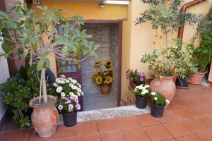Zahrada ubytování vacanza Taormina mare