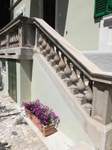 un escalier avec un pot de fleurs et quelques fleurs violettes dans l'établissement AGLI OLEANDRI, à Gorizia