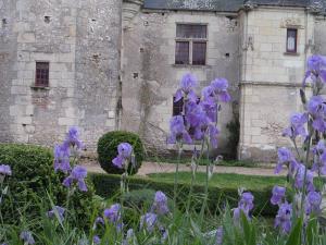 Zahrada ubytování Chateau de Chémery