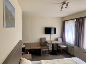 TV a/nebo společenská místnost v ubytování Hotel Montag