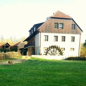 a large white house with a dog in front of it at Kratochviluv mlyn in Červená Lhota