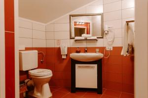 a bathroom with a toilet and a sink and a mirror at Casa Maria Magdalena in Lipova