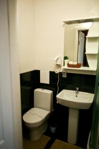a small bathroom with a toilet and a sink at Dalos Plus in Sarny