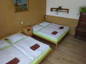 Posteľ alebo postele v izbe v ubytovaní Ubytovani Dana Brentnerova