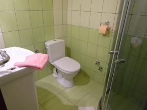 Kúpeľňa v ubytovaní Ubytovani Dana Brentnerova
