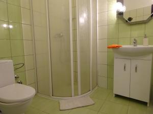 Kúpeľňa v ubytovaní Ubytovani Dana Brentnerova