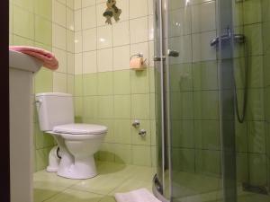 Kúpeľňa v ubytovaní Ubytovani Dana Brentnerova
