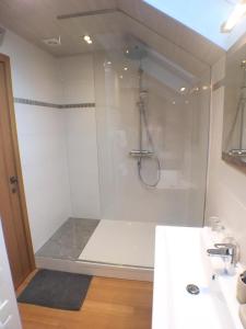 a bathroom with a shower and a sink at B&B Pegasus II - Chambre de luxe avec sauna privatif in Vielsalm