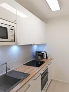 Kuchyň nebo kuchyňský kout v ubytování INSIDER Appartement