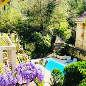 einen Garten mit Pool und lila Blumen in der Unterkunft Hôtel Le Cro-Magnon in Les Eyzies-de-Tayac