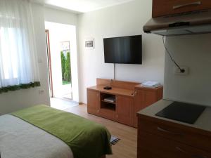 TV a/nebo společenská místnost v ubytování Prenočišča Iris