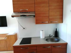 a kitchen with a sink and wooden cabinets at Prenočišča Iris in Sežana