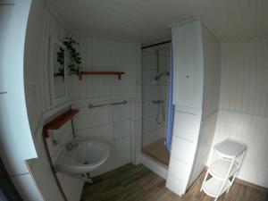 a bathroom with a sink and a shower and a toilet at Ferienwohnung zur Schmiede in Altendorf