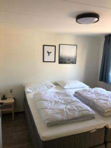 deux lits jumeaux dans une chambre avec une lampe dans l'établissement Anna, à Hollum