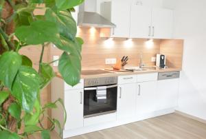 Kuchyňa alebo kuchynka v ubytovaní Berg' & Bluamen Appartements Stubai