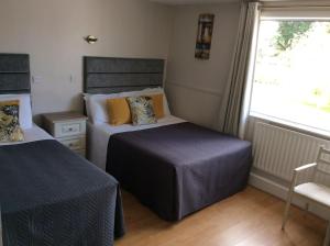 a bedroom with two beds and a window at The Gardens guest accommodation in Killarney