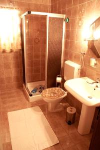 een badkamer met een douche, een toilet en een wastafel bij Apartmani Ribarica**** in Karlobag