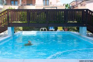 a dog in the water in a swimming pool at VILLA dei ROMANZI Residence Mare in Tortoreto Lido