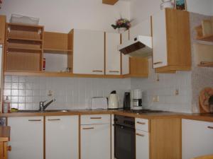 Кухня або міні-кухня у Apartment Janschitz Gundersheim