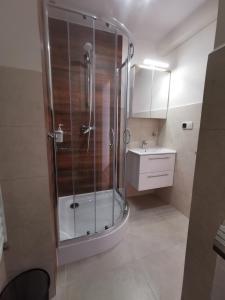 a bathroom with a shower and a sink at Apartament KAKADU in Konin