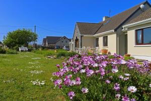 un champ de fleurs devant une maison dans l'établissement Daly's House, à Doolin