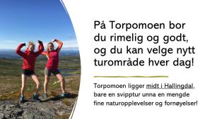 Una foto de dos personas de pie en la cima de una montaña en Torpomoen en Torpo