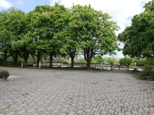 un parque con árboles y un suelo de ladrillo con árboles en Krügerhof Lübbersdorf, en Oldenburg in Holstein