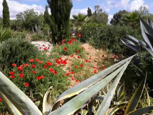 Zahrada ubytování Finca Alqueria Fosca