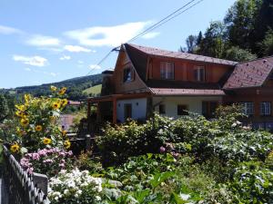 Príroda v okolí apartmánu