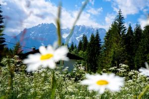 Paesaggio naturale nelle vicinanze dell'appartamento