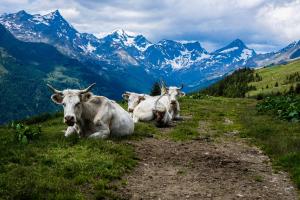 Paesaggio naturale nelle vicinanze dell'appartamento