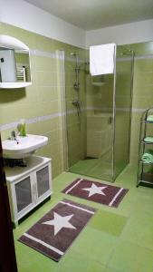 a bathroom with a shower with stars on the floor at Riviéra Lipno 510/17 in Lipno nad Vltavou