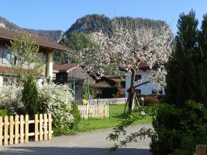 a flowering tree in front of a house with a fence at Ferienwohnung Anna in Inzell