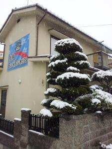 un árbol de Navidad cubierto de nieve frente a un edificio en Matsumoto BackPackers, en Matsumoto