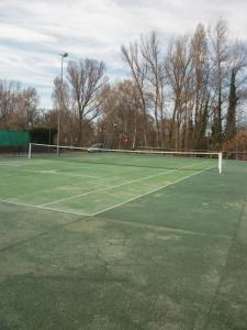 Tenis lub squash w obiekcie VEGA-ARANDA lub w pobliżu