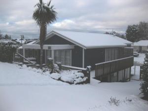une maison recouverte de neige avec un palmier dans l'établissement Harakeke House Downstairs - Ohakune Unit, à Ohakune