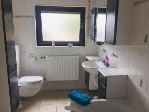 a bathroom with a toilet and a sink and a window at Ferienhaus Burggraf in Zermüllen +19 photos