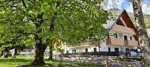 a house with a tree in front of it at Vila Mojca Apartments Jasna & Jelka in Kranjska Gora