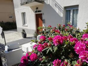 un arbusto de flores rosas frente a un edificio en B&B Miele, en San Fermo della Battaglia