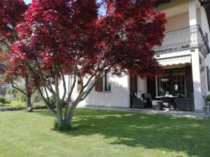 A garden outside Villa Azalea