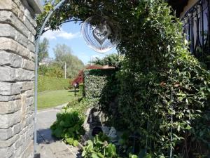 A garden outside Villa Azalea