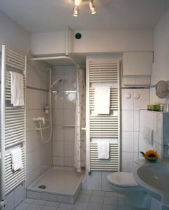 ein Bad mit einer Dusche, einem WC und einem Waschbecken in der Unterkunft Brutsches Rebstock in Laufenburg