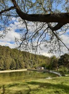 Blick auf einen See mit einem Gebäude im Hintergrund in der Unterkunft Vlčí důl Bludov in Bludov