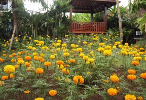 Zahrada ubytování Yulia Village Inn Ubud