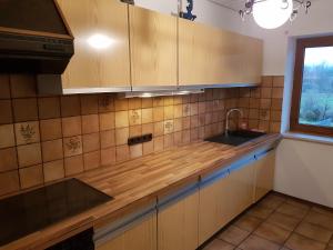 Kuchyň nebo kuchyňský kout v ubytování Ferienwohnung Sonthofenersee