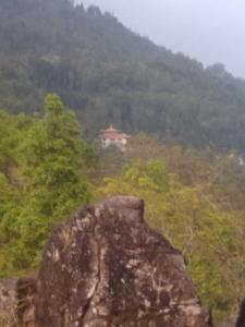 una gran roca con una casa en una montaña en Vamoose Tragopan, en Aritar