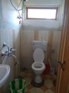 baño con aseo y lavabo y ventana en Vamoose Tragopan, en Aritar