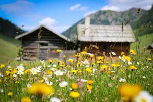 Paesaggio naturale nelle vicinanze dell'appartamento